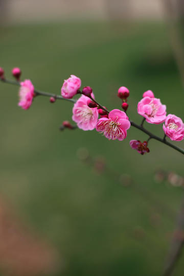 绝世永生指