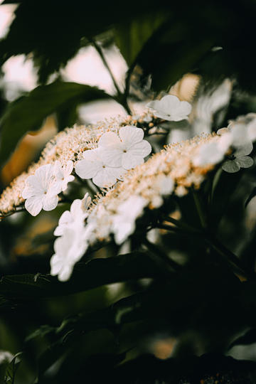 宝宝小厨房